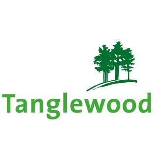 Tangled Wood Tales - Image 6
