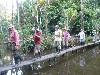 Nature walk in the jungle