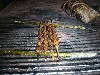 Roasting skewered grubs