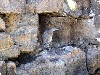 Lava ledges provide shelter