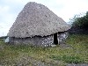 Native hut