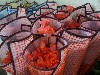 Roses in plastic nets