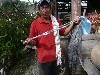 Tied and dyed threads