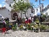 Flower market