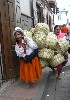 Baskets for sale