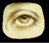 The eye of Lee Miller from a photo by Man Ray as rendered by Tabitha Vevers.