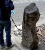 A pooch responds to the work of Joseph Beuys.