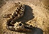 Ancient Language, 2004, Atacama Desert, Chile. C Print by Andrew Rogers. Courtesy of the artist.