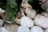 Still from a video shot in China.