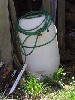 Sugar sap barrel and tubing, used for collecting sap.