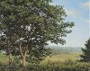 "Two Oak Trees" by Steven Perkins evokes the tradition of Maine&rsquo;s landscape painters.