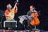 The Pica and the Cello.