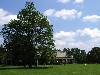 The Tanglewood Season officially begins.