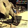 Elephants improvise music