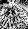 The studio rode out the Depression with Busby Berkeley musicals.