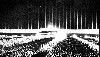 Hitler&rsquo;s architect Albert Speer created a Cathedal of Light for the Nazi rally at Nuremberg. 
