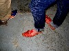 The guests were colorful and well heeled. 