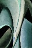 Georgia O&rsquo;Keeffe, Abstraction, 1919. Oil on canvas, 10 1/8 x 7 1/16 in.
Newark Museum. Gift of Henry Ploch, 2000 [(c) 2009 Georgia O&rsquo;Keeffe
Museum / Artists Rights Society (ARS), New York]


