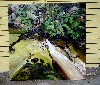 "Tophet Brook" by Henry Klein.