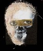 A collaged image by Doubiago.