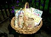 A basket full of books written and illustrated by Koscielniak.