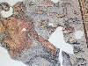 Oceanus Mosaic,Hatay Museum