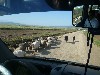 On the road between Antakya and Gaziantep