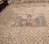 Floor mosaic in the new excavation