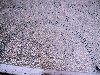 Floor mosaic in the church