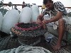 Preparing fish bait on deck