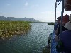Crusing the Dalyan River
