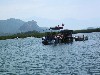 Fishing boats in Dalyan