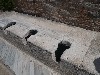 Latrines