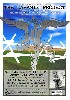 Another Poster for The Laramie Project.