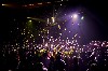 The Butterflies with the Last Dance