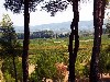 A view into the landscape.