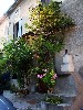 Where possible, flowering trees and plants are growing.