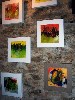A grid section of Fleiss� abstract works.