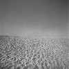 Cape Cod, 1972



Photograph, gelatin silver print

*Museum of Fine Arts, Boston. Polaroid Foundation Purchase Fund

*� The Estate of Harry Callahan, courtesy Pace/MacGill, NY.

