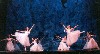 The Albany Berkshire Ballet&rsquo;s Nutcracker is a visual treat with dancing snowflakes.