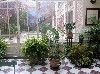 Winter garden on the ground floor