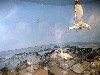 Simulated flight in glass display case
