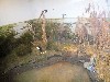 Waterbirds in simulated action, House of Birds