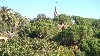 View of the natural areas of the park. Tower in distance is Gaudi�s former residence at the park, Photo by M. Favermann, All Rights Reserved