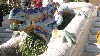 Dragon Fountain at Entrance to Park
Photo by M. Favermann, All Rights Reserved