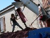 Discarding grape skins by the truck load.