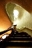 Interior Organic Stairway at Casa Batllo