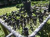 Seedlings at coffee plantation
