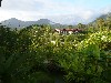 Wide view of the Casa Luna Lodge