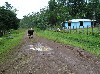 The road to the butterfly farm